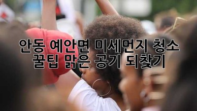 안동 예안면 미세먼지 청소 꿀팁🏡✨: 맑은 공기 되찾기!