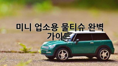 미니 업소용 물티슈 완벽 가이드